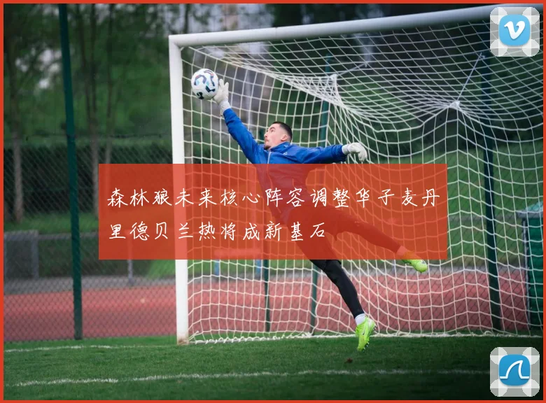森林狼未来核心阵容调整华子麦丹里德贝兰热将成新基石