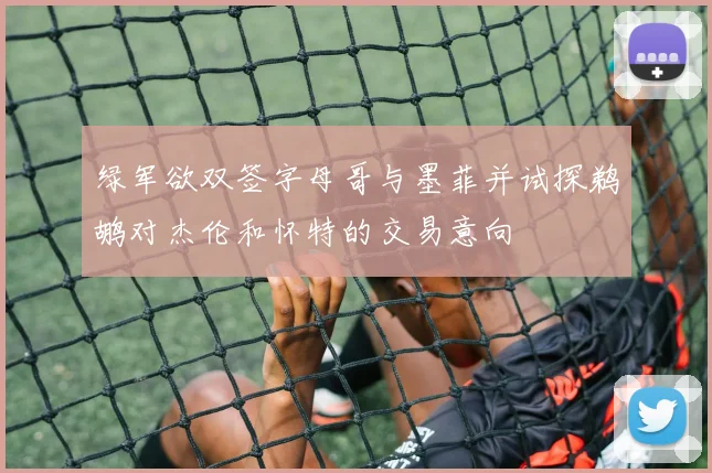 绿军欲双签字母哥与墨菲并试探鹈鹕对杰伦和怀特的交易意向